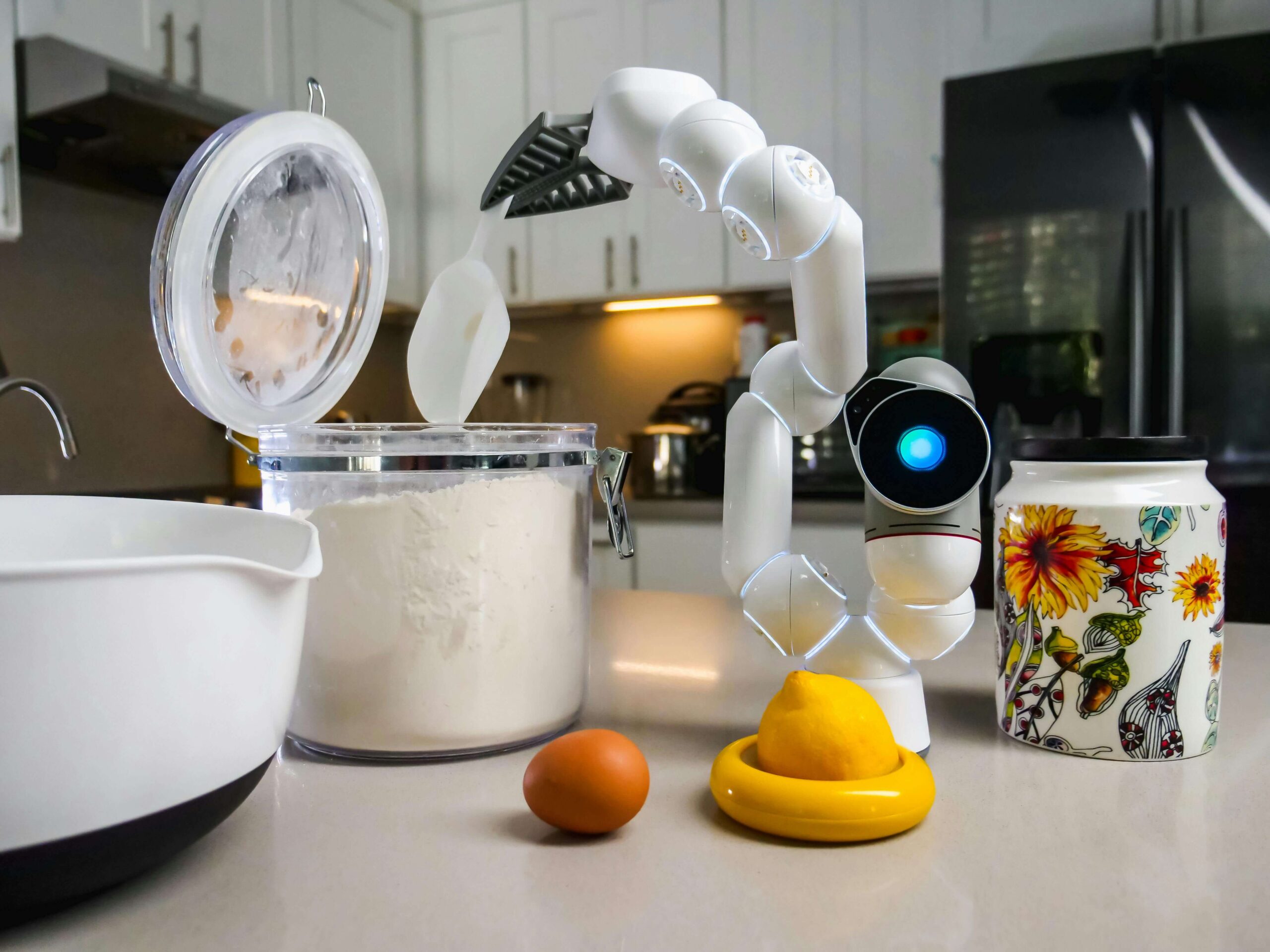 Autonomous cooking